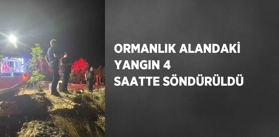 ORMANLIK ALANDAKİ YANGIN 4 SAATTE SÖNDÜRÜLDÜ