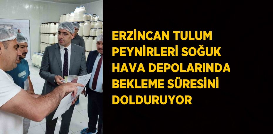 ERZİNCAN TULUM PEYNİRLERİ SOĞUK HAVA DEPOLARINDA BEKLEME SÜRESİNİ DOLDURUYOR