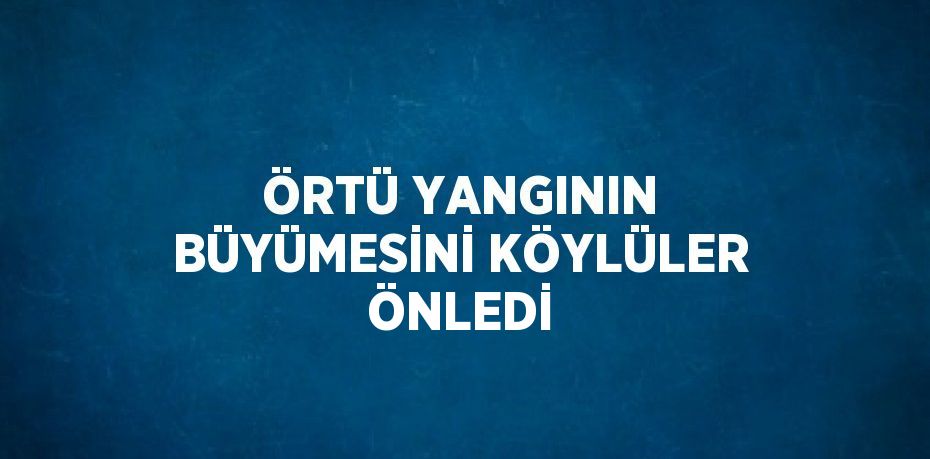 ÖRTÜ YANGININ BÜYÜMESİNİ KÖYLÜLER ÖNLEDİ