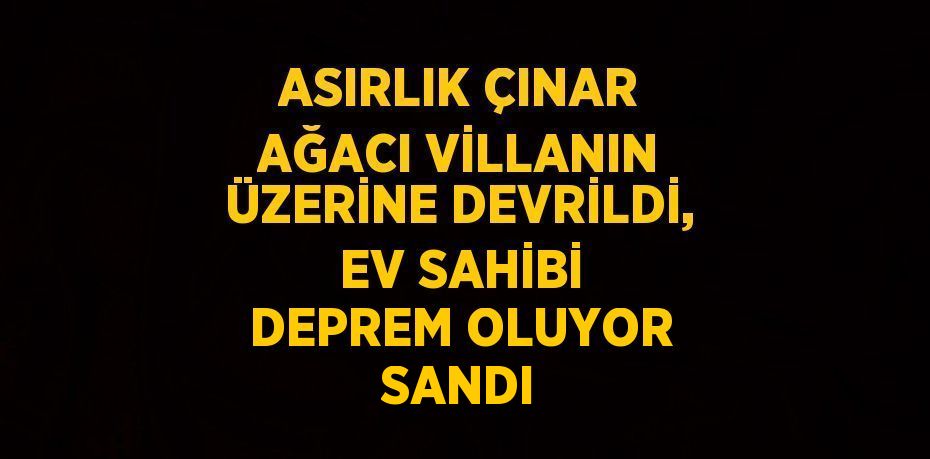 ASIRLIK ÇINAR AĞACI VİLLANIN ÜZERİNE DEVRİLDİ, EV SAHİBİ DEPREM OLUYOR SANDI