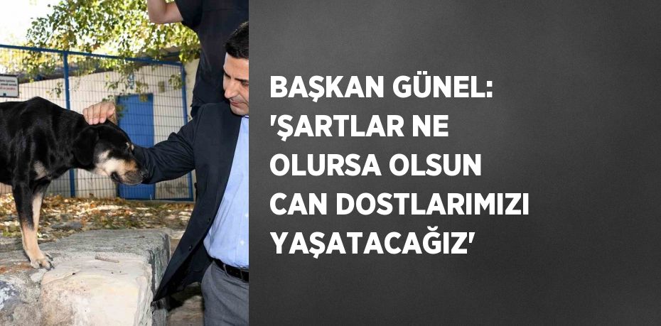 BAŞKAN GÜNEL: 'ŞARTLAR NE OLURSA OLSUN CAN DOSTLARIMIZI YAŞATACAĞIZ'