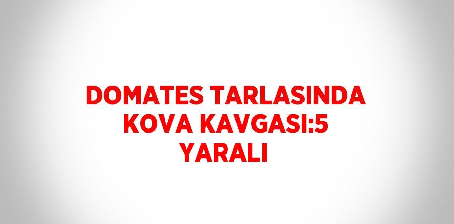 DOMATES TARLASINDA KOVA KAVGASI:5 YARALI