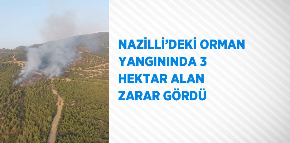 NAZİLLİ’DEKİ ORMAN YANGININDA 3 HEKTAR ALAN ZARAR GÖRDÜ