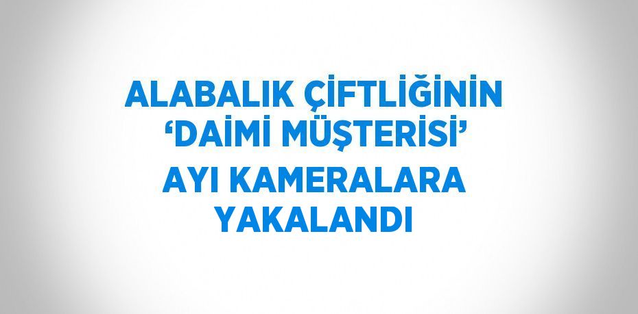 ALABALIK ÇİFTLİĞİNİN ‘DAİMİ MÜŞTERİSİ’ AYI KAMERALARA YAKALANDI