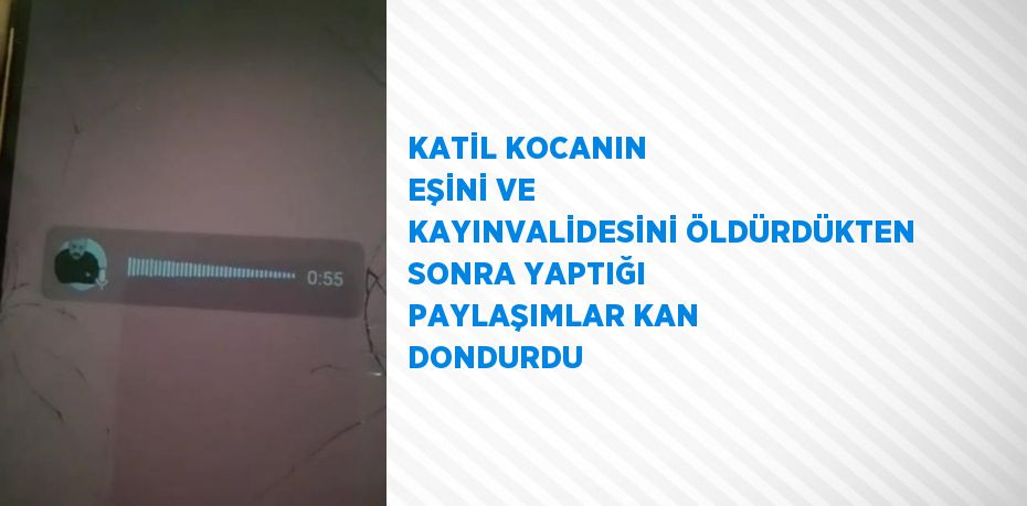 KATİL KOCANIN EŞİNİ VE KAYINVALİDESİNİ ÖLDÜRDÜKTEN SONRA YAPTIĞI PAYLAŞIMLAR KAN DONDURDU