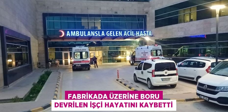 FABRİKADA ÜZERİNE BORU DEVRİLEN İŞÇİ HAYATINI KAYBETTİ