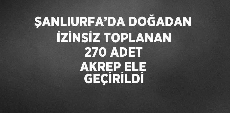 ŞANLIURFA’DA DOĞADAN İZİNSİZ TOPLANAN 270 ADET AKREP ELE GEÇİRİLDİ