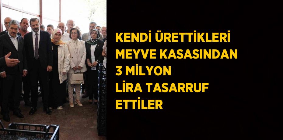 KENDİ ÜRETTİKLERİ MEYVE KASASINDAN 3 MİLYON LİRA TASARRUF ETTİLER