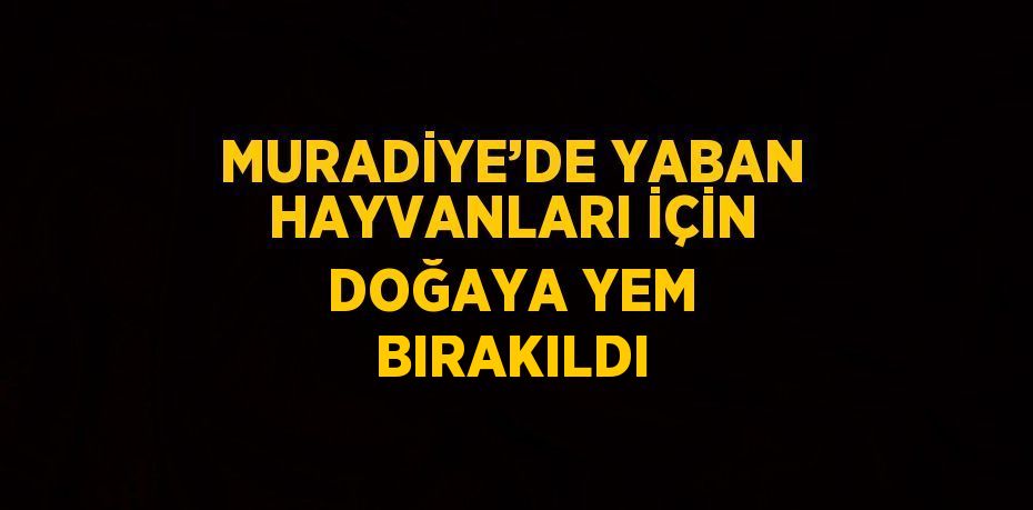 MURADİYE’DE YABAN HAYVANLARI İÇİN DOĞAYA YEM BIRAKILDI