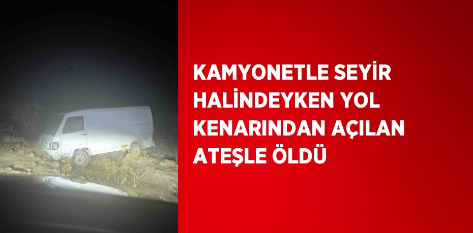 KAMYONETLE SEYİR HALİNDEYKEN YOL KENARINDAN AÇILAN ATEŞLE ÖLDÜ