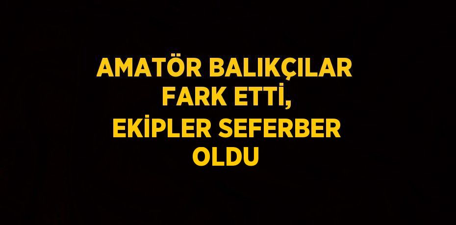 AMATÖR BALIKÇILAR FARK ETTİ, EKİPLER SEFERBER OLDU