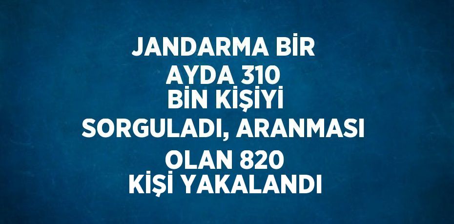 JANDARMA BİR AYDA 310 BİN KİŞİYİ SORGULADI, ARANMASI OLAN 820 KİŞİ YAKALANDI