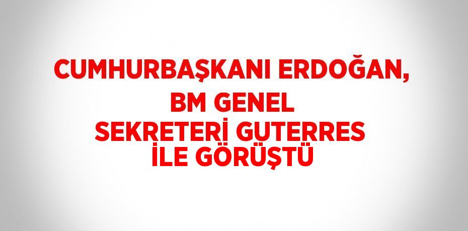 CUMHURBAŞKANI ERDOĞAN, BM GENEL SEKRETERİ GUTERRES İLE GÖRÜŞTÜ