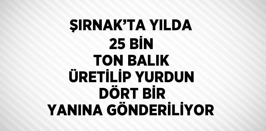 ŞIRNAK’TA YILDA 25 BİN TON BALIK ÜRETİLİP YURDUN DÖRT BİR YANINA GÖNDERİLİYOR