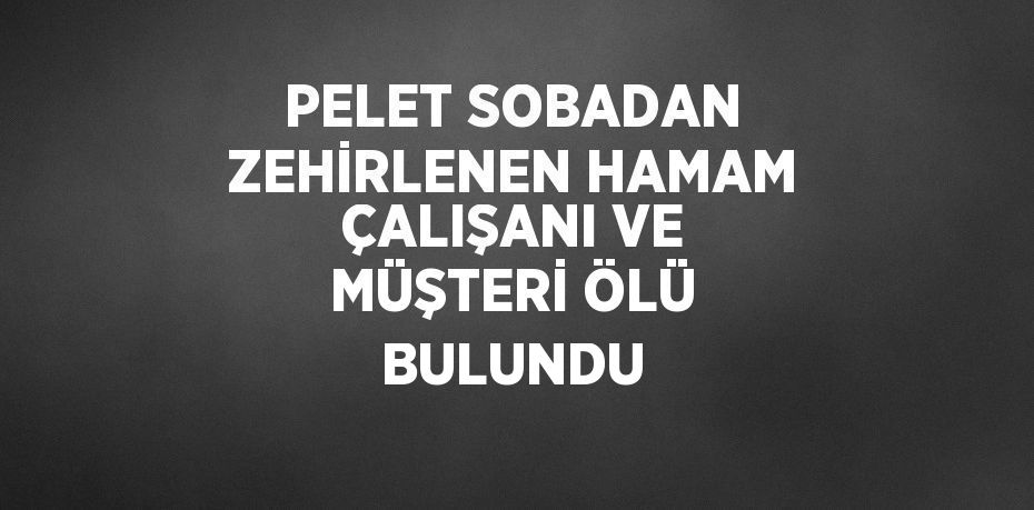 PELET SOBADAN ZEHİRLENEN HAMAM ÇALIŞANI VE MÜŞTERİ ÖLÜ BULUNDU