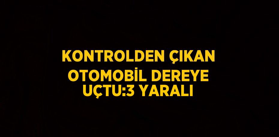 KONTROLDEN ÇIKAN OTOMOBİL DEREYE UÇTU:3 YARALI