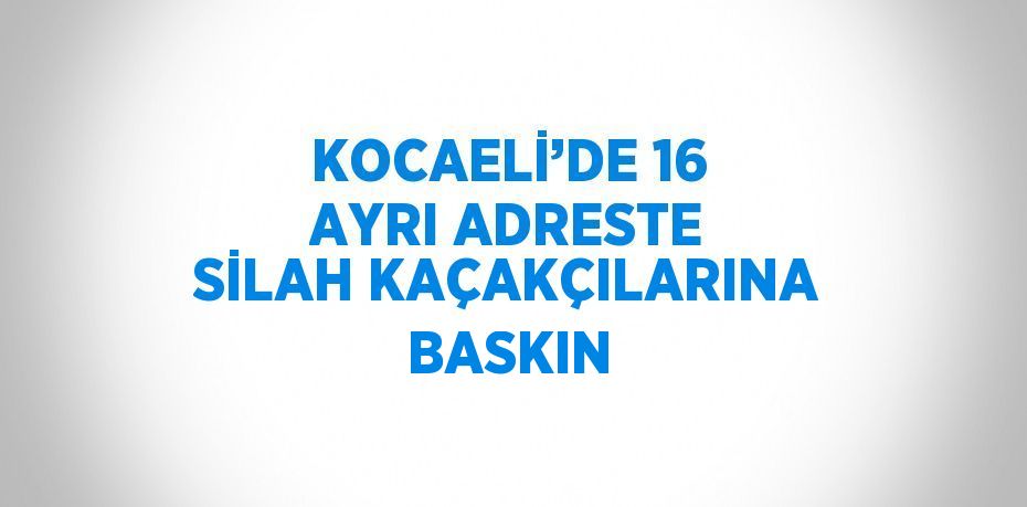 KOCAELİ’DE 16 AYRI ADRESTE SİLAH KAÇAKÇILARINA BASKIN