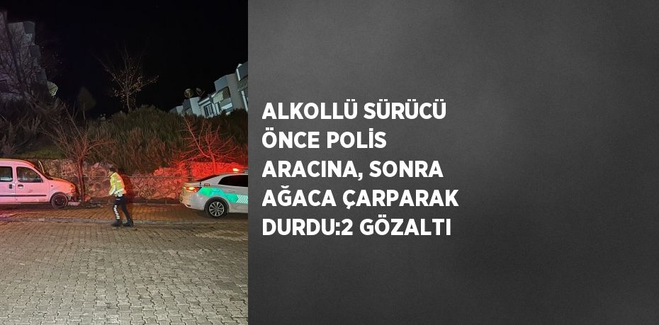 ALKOLLÜ SÜRÜCÜ ÖNCE POLİS ARACINA, SONRA AĞACA ÇARPARAK DURDU:2 GÖZALTI