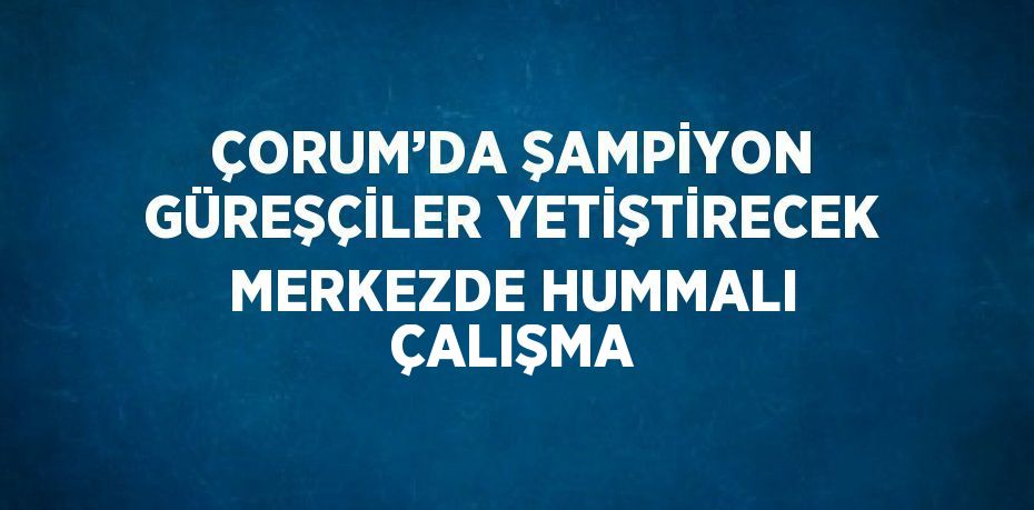 ÇORUM’DA ŞAMPİYON GÜREŞÇİLER YETİŞTİRECEK MERKEZDE HUMMALI ÇALIŞMA