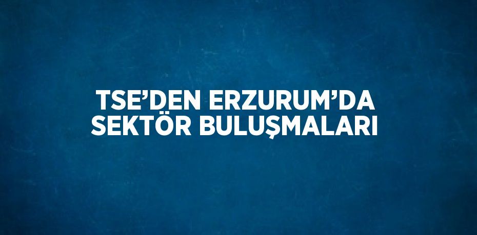 TSE’DEN ERZURUM’DA SEKTÖR BULUŞMALARI