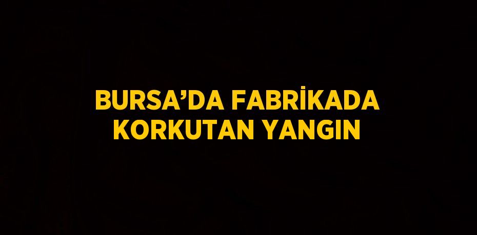 BURSA’DA FABRİKADA KORKUTAN YANGIN