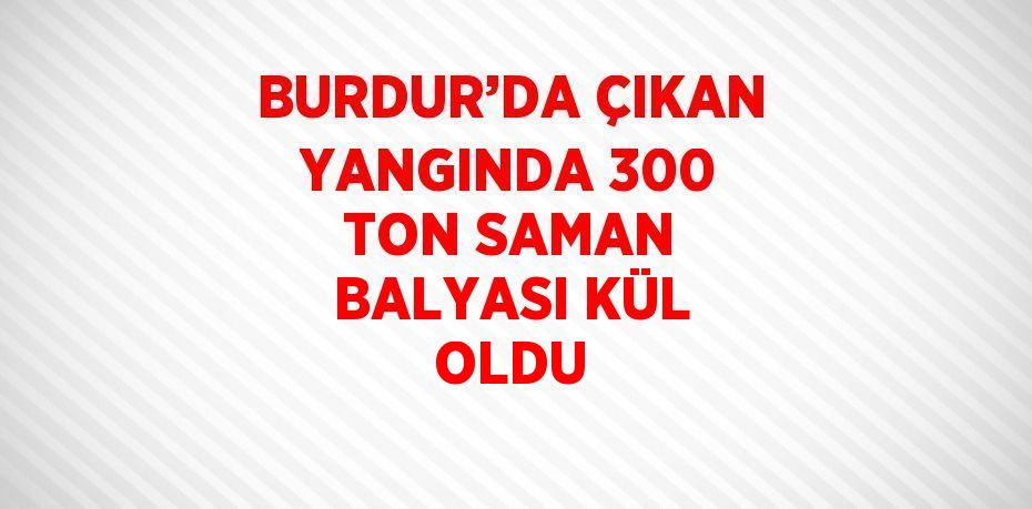 BURDUR’DA ÇIKAN YANGINDA 300 TON SAMAN BALYASI KÜL OLDU