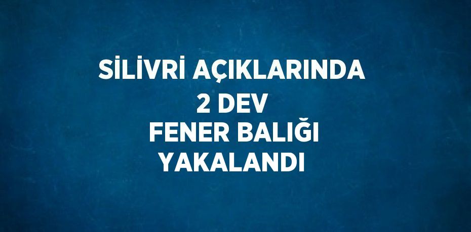 SİLİVRİ AÇIKLARINDA 2 DEV FENER BALIĞI YAKALANDI