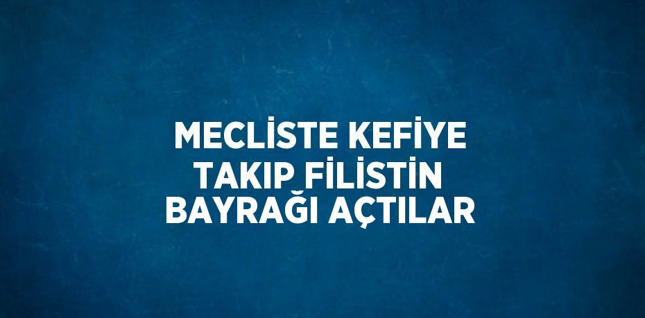 MECLİSTE KEFİYE TAKIP FİLİSTİN BAYRAĞI AÇTILAR