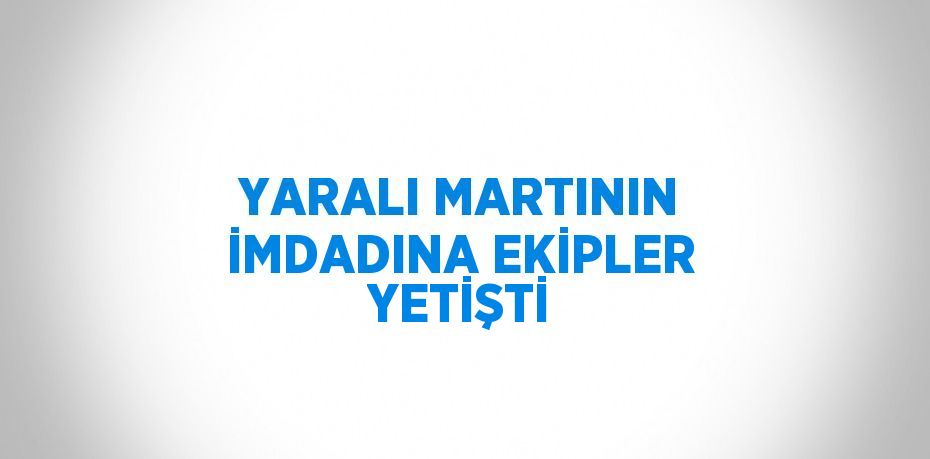 YARALI MARTININ İMDADINA EKİPLER YETİŞTİ