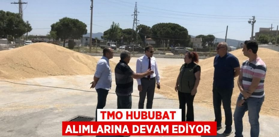 TMO hububat alımlarına devam ediyor