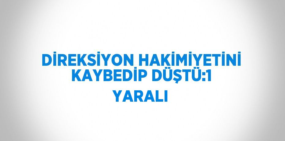 DİREKSİYON HAKİMİYETİNİ KAYBEDİP DÜŞTÜ:1 YARALI