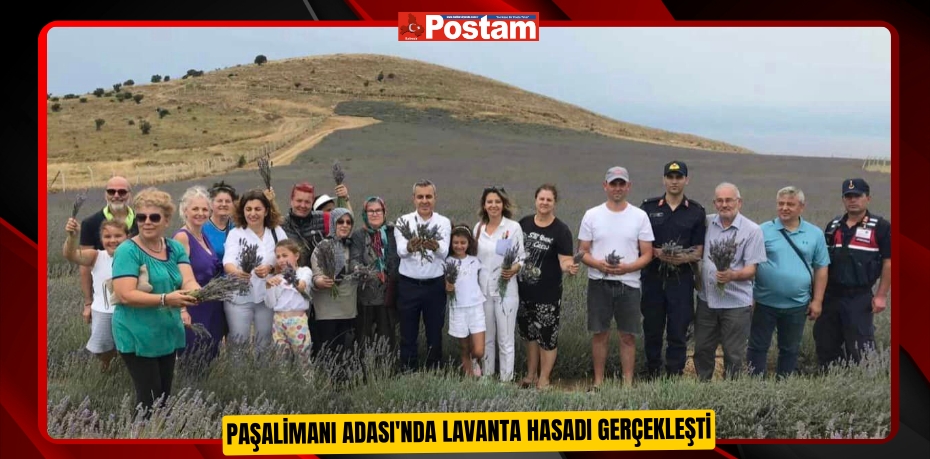 Paşalimanı Adası'nda lavanta hasadı gerçekleşti  