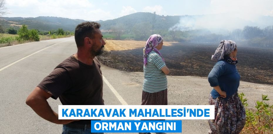 Karakavak Mahallesi'nde orman yangını