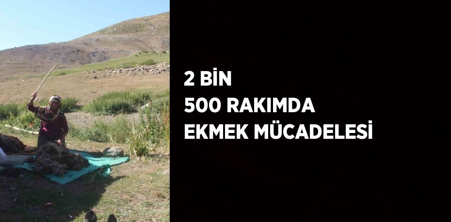 2 BİN 500 RAKIMDA EKMEK MÜCADELESİ