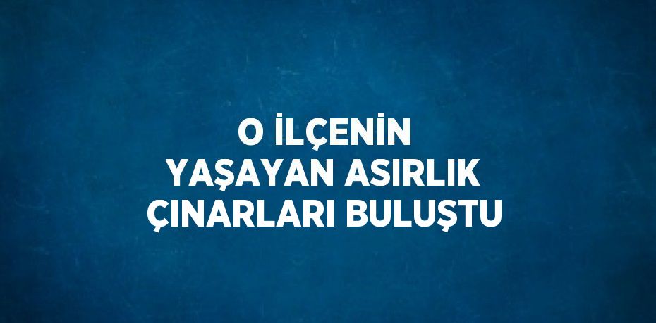 O İLÇENİN YAŞAYAN ASIRLIK ÇINARLARI BULUŞTU