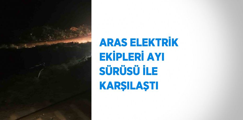 ARAS ELEKTRİK EKİPLERİ AYI SÜRÜSÜ İLE KARŞILAŞTI