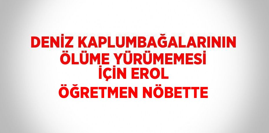 DENİZ KAPLUMBAĞALARININ ÖLÜME YÜRÜMEMESİ İÇİN EROL ÖĞRETMEN NÖBETTE