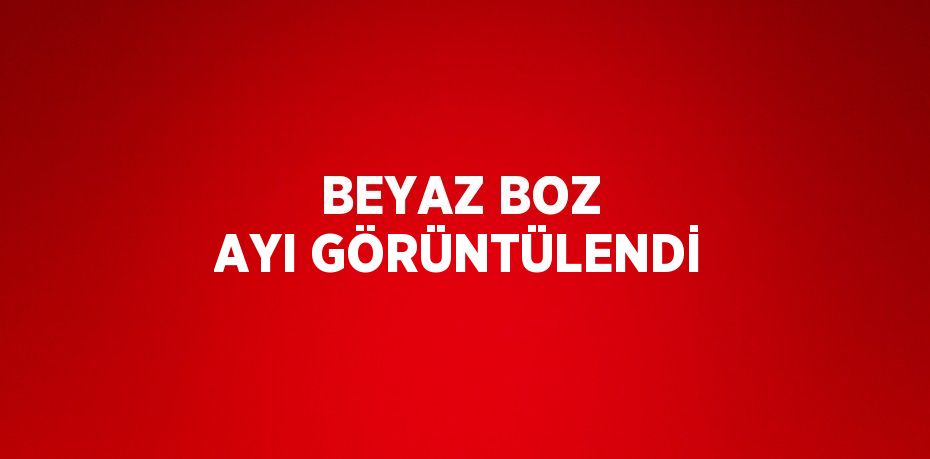 BEYAZ BOZ AYI GÖRÜNTÜLENDİ