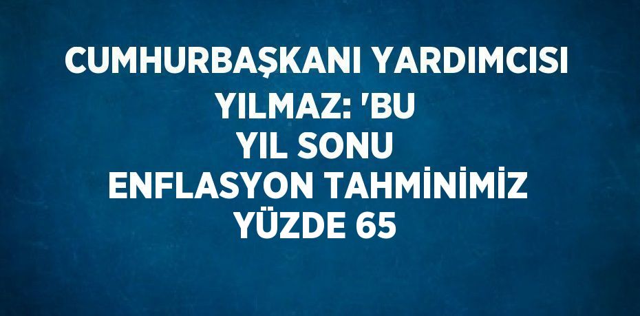 CUMHURBAŞKANI YARDIMCISI YILMAZ: 'BU YIL SONU ENFLASYON TAHMİNİMİZ YÜZDE 65