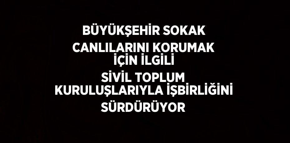 BÜYÜKŞEHİR SOKAK CANLILARINI KORUMAK İÇİN İLGİLİ SİVİL TOPLUM KURULUŞLARIYLA İŞBİRLİĞİNİ SÜRDÜRÜYOR