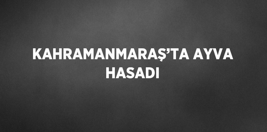 KAHRAMANMARAŞ’TA AYVA HASADI