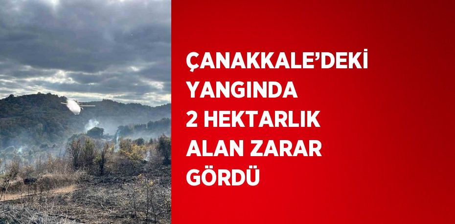 ÇANAKKALE’DEKİ YANGINDA 2 HEKTARLIK ALAN ZARAR GÖRDÜ