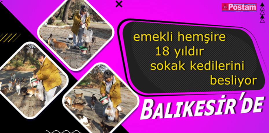 Balıkesir’de emekli hemşire 18 yıldır sokak kedilerini besliyor