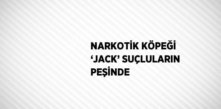 NARKOTİK KÖPEĞİ ‘JACK’ SUÇLULARIN PEŞİNDE