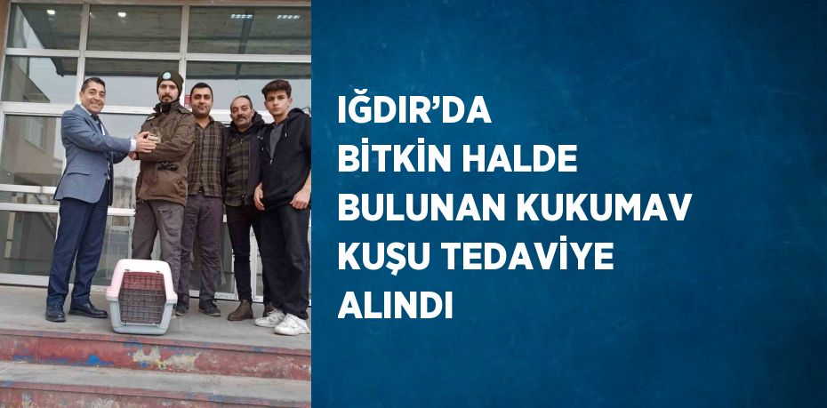 IĞDIR’DA  BİTKİN HALDE BULUNAN KUKUMAV KUŞU TEDAVİYE ALINDI