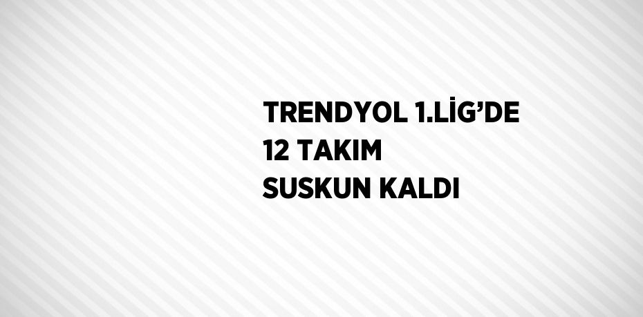 TRENDYOL 1.LİG’DE 12 TAKIM SUSKUN KALDI