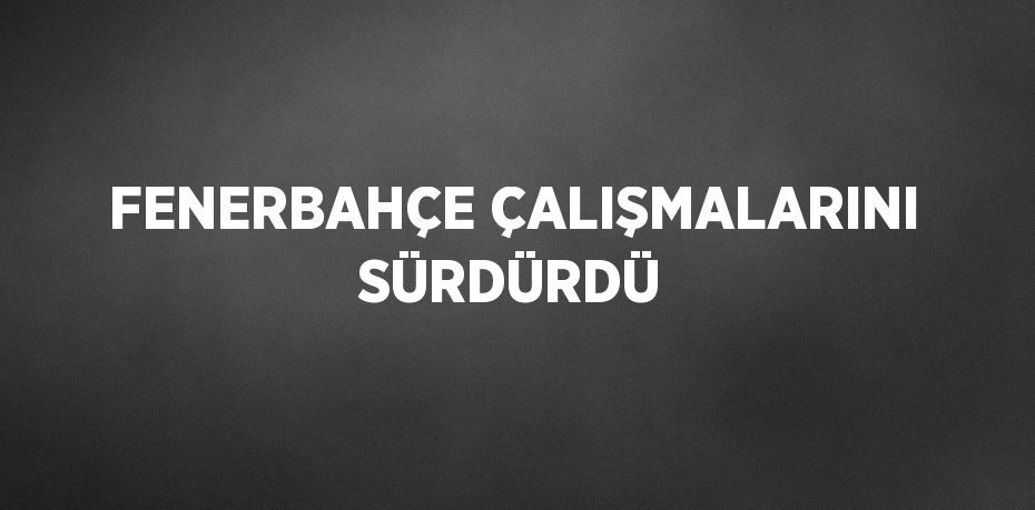 FENERBAHÇE ÇALIŞMALARINI SÜRDÜRDÜ