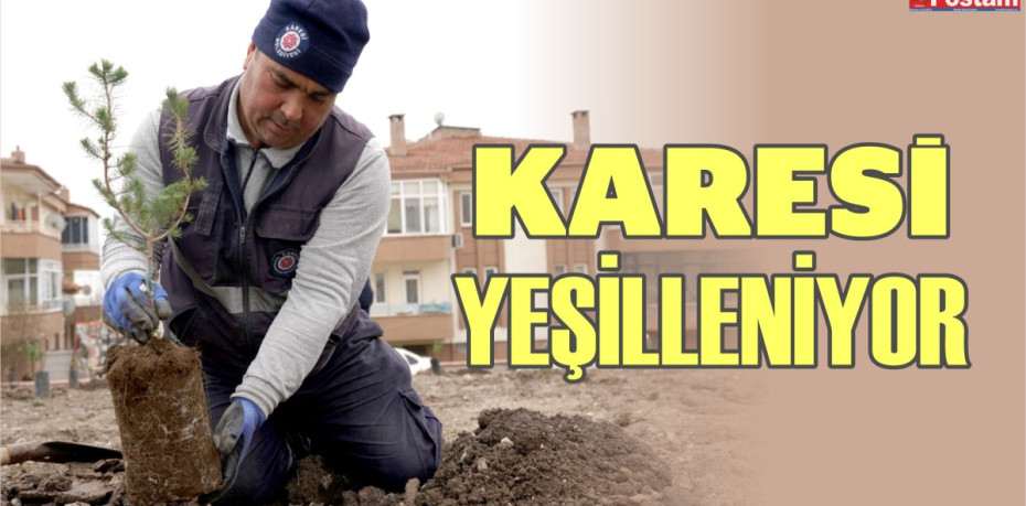 KARESİ YEŞİLLENİYOR