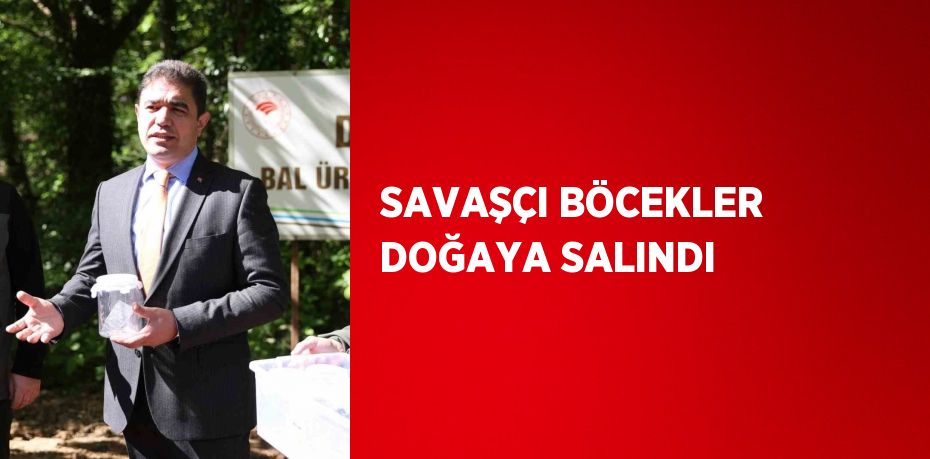 SAVAŞÇI BÖCEKLER DOĞAYA SALINDI