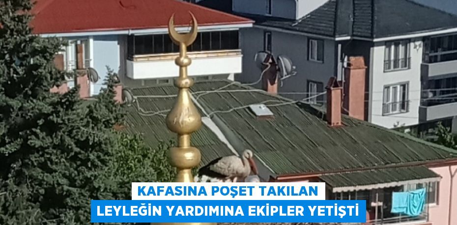 KAFASINA POŞET TAKILAN LEYLEĞİN YARDIMINA EKİPLER YETİŞTİ